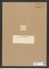 Goniothecium ? obtusum Ehr. (de-Toni-Nr.: Genus 157, Species 4226) Zeichnungen Sammlung Grunow Nr. 7792 (NHMW-BOT-W0377028)